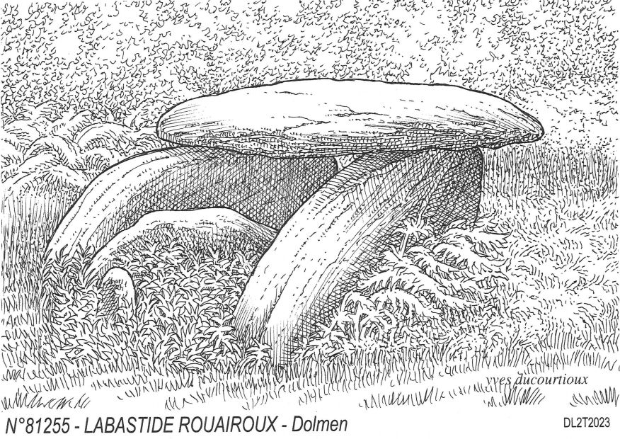 N 81255 - LABASTIDE ROUAIROUX - dolmen